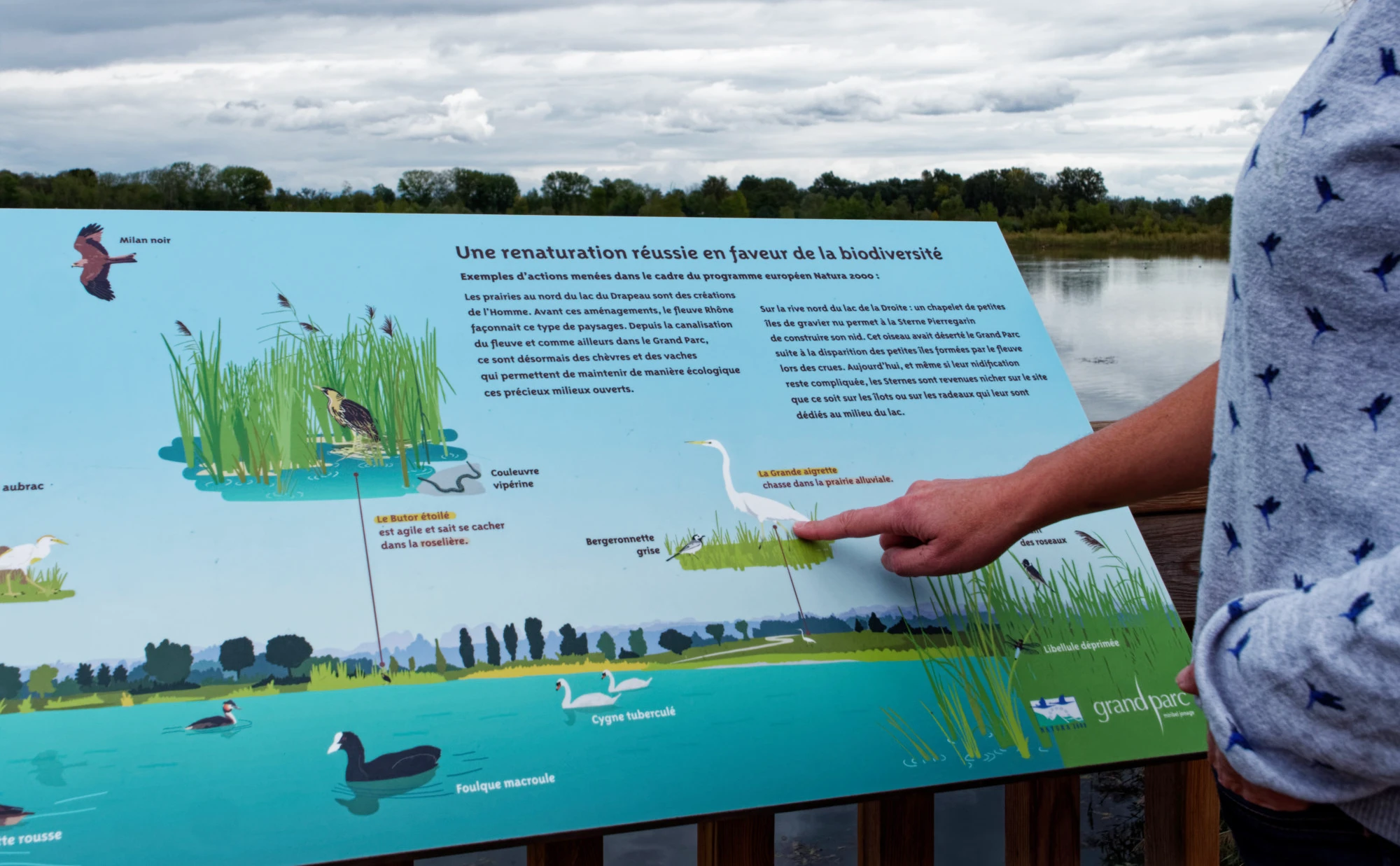 Panneau pour un sentier d'interpretation pedagogique au Grand Parc Miribel Jonage autour de la faune et la flore locale