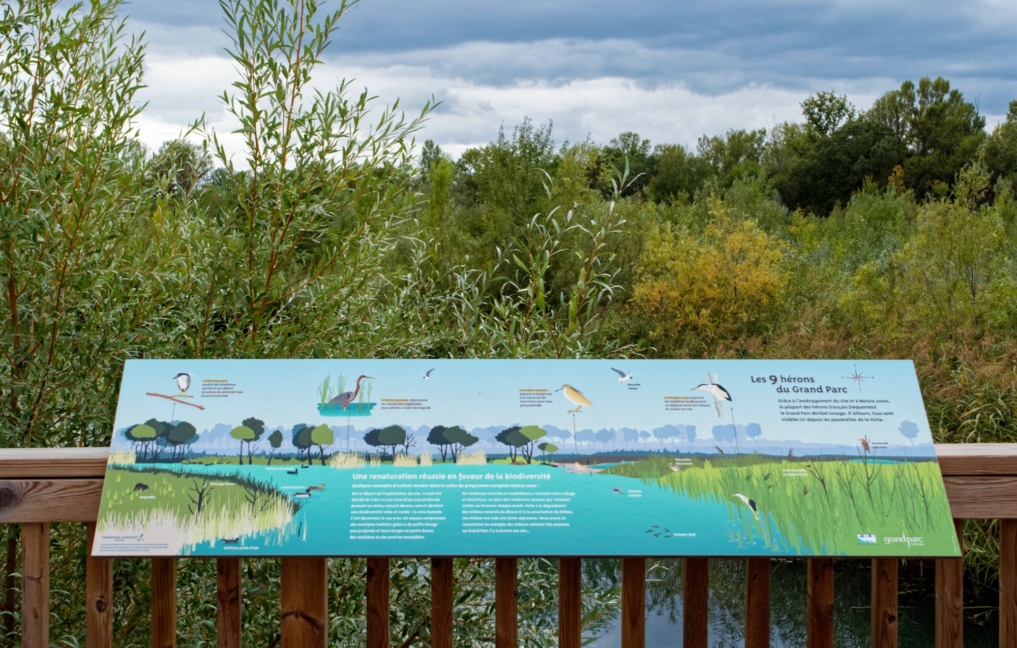 Table d'orientation réalisée par Emma Lidbury de Tadaa pour le Grand Parc autour des hérons 