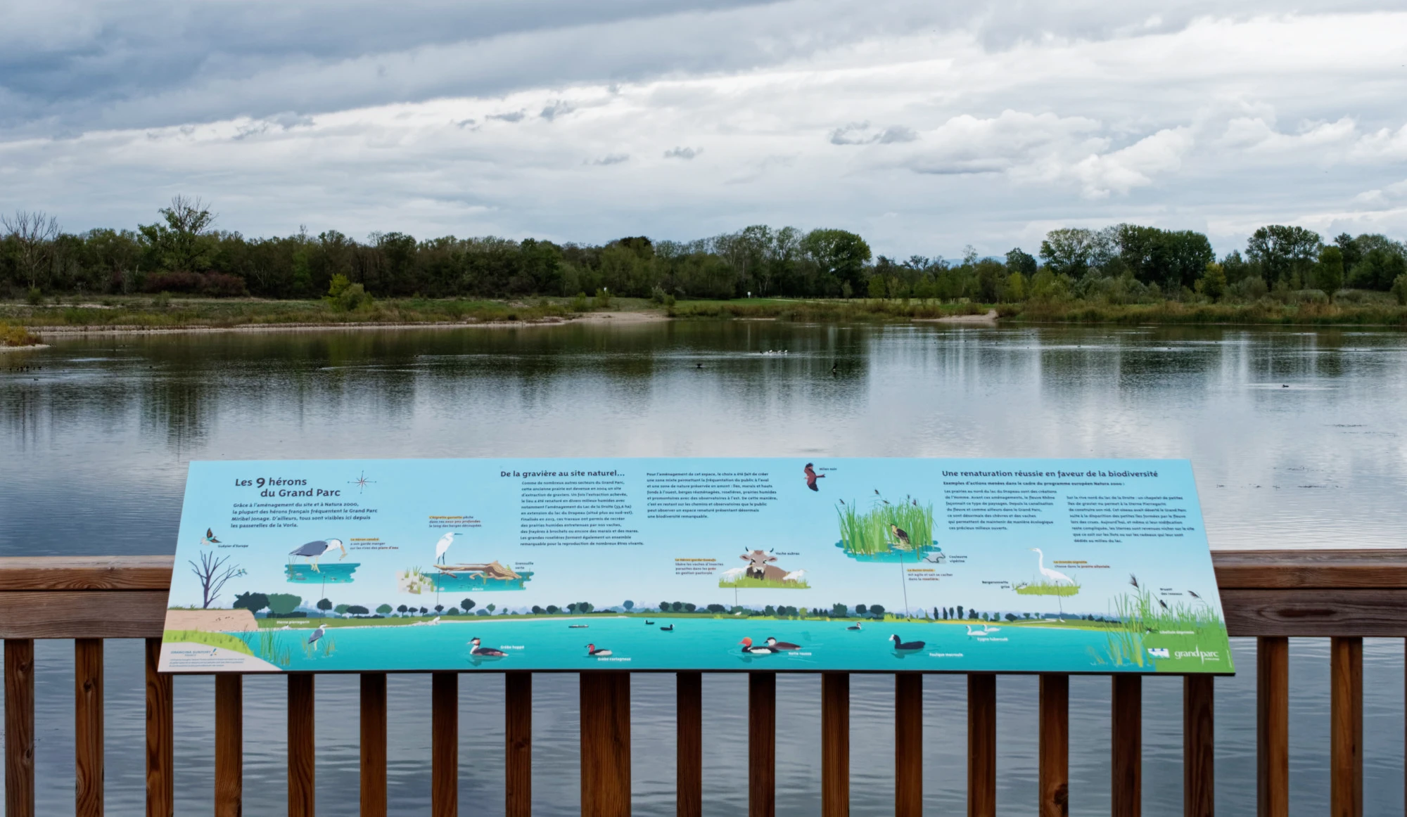 Table d'orientation réalisée par Emma Lidbury de Tadaa pour le Grand Parc 