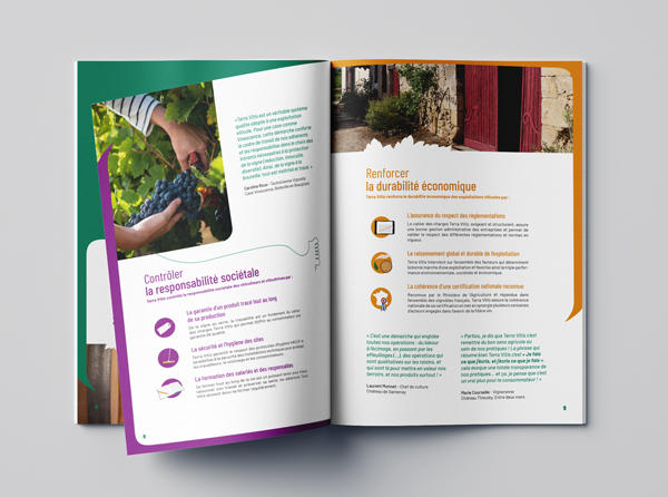 Mise en page du dossier de presse ou l'Essentiel pour Terra Vitis